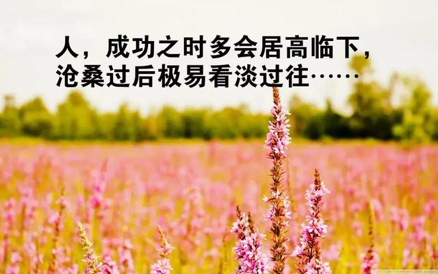 早安励志语录关于奋斗的句子 早安励志语录关于奋斗的句子