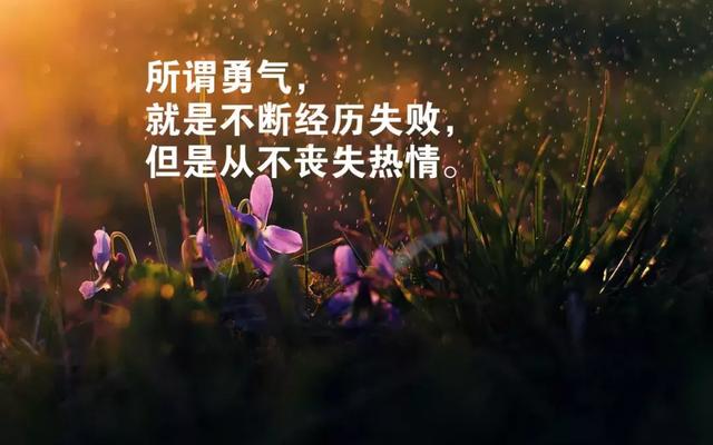 早安励志语录关于奋斗的句子 早安励志语录关于奋斗的句子