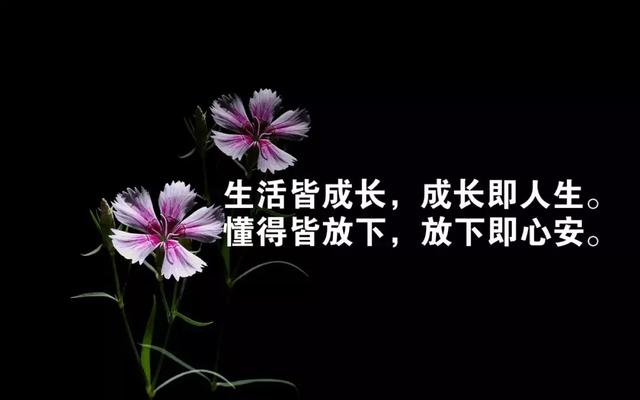 早安励志语录关于奋斗的句子 早安励志语录关于奋斗的句子