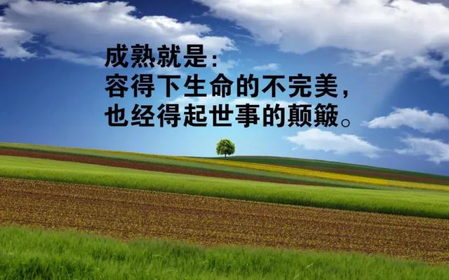 早安励志语录关于奋斗的句子 早安励志语录关于奋斗的句子