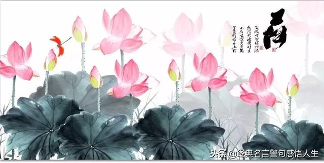 学会感恩,人生一定一帆风顺