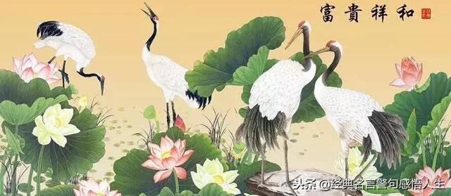 学会感恩,人生一定一帆风顺