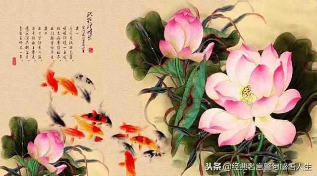 学会感恩,人生一定一帆风顺
