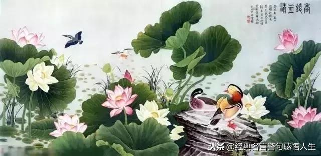 学会感恩,人生一定一帆风顺