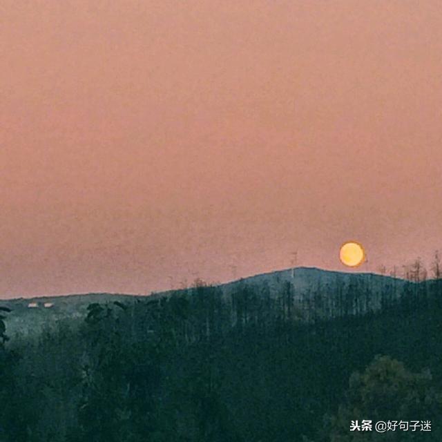 夜晚坚持奋斗的励志的句子 夜晚坚持奋斗的励志的句子