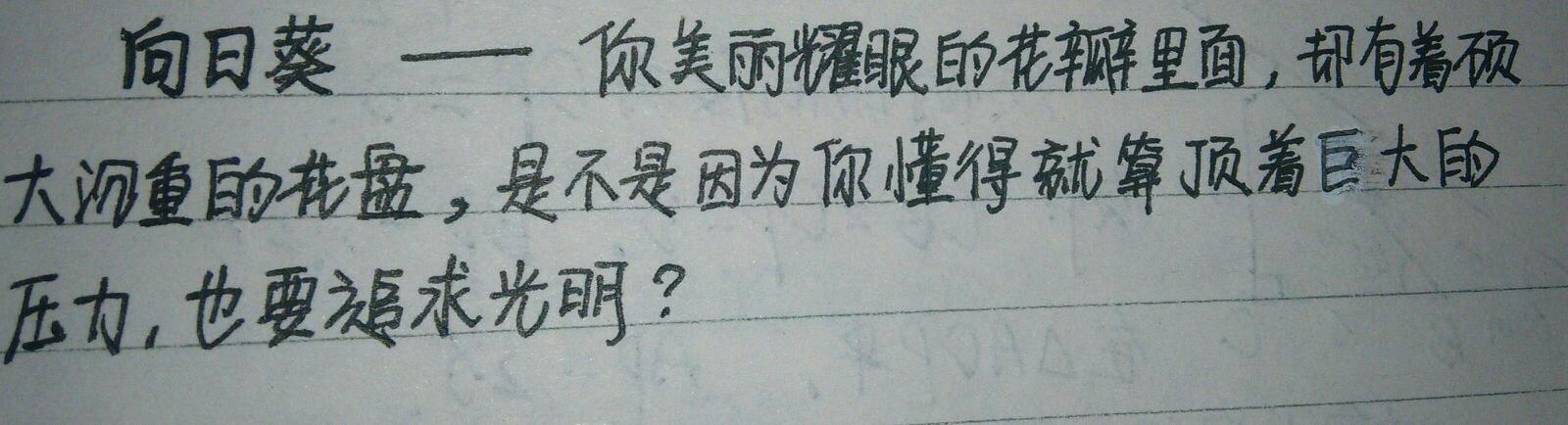 感恩父母的句子50字(感恩父母的一段话50字)
