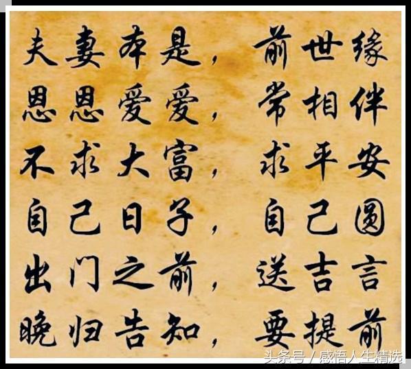 关于夫妻共同奋斗的句子 关于夫妻共同奋斗的句子
