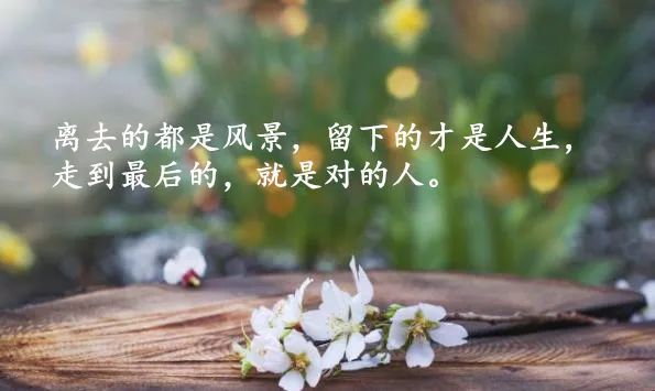 感悟人生哲理句子_(精辟人生哲理100句)