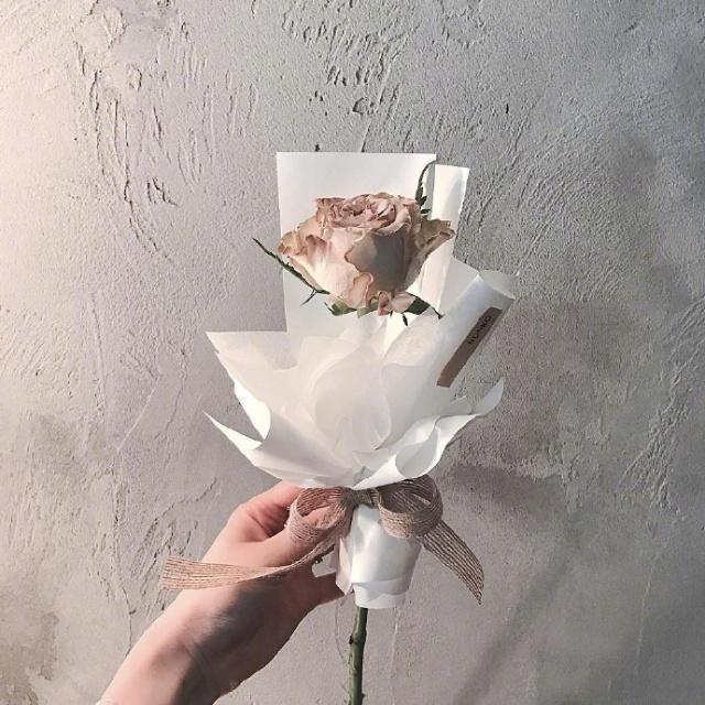 女人努力奋斗的句子发朋友圈