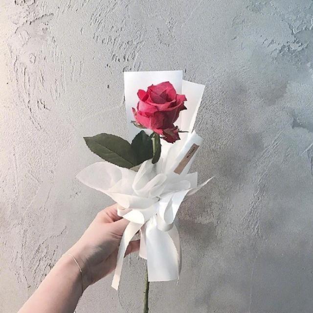 女人努力奋斗的句子发朋友圈