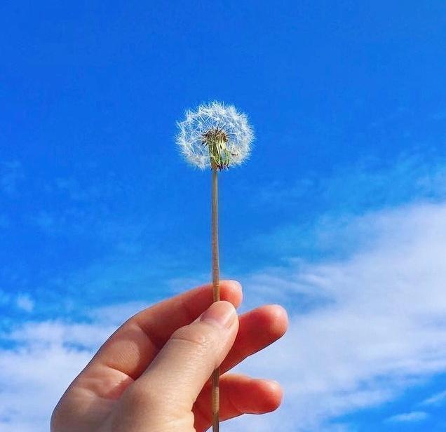 形容努力奋斗的句子唯美 形容努力奋斗的句子唯美
