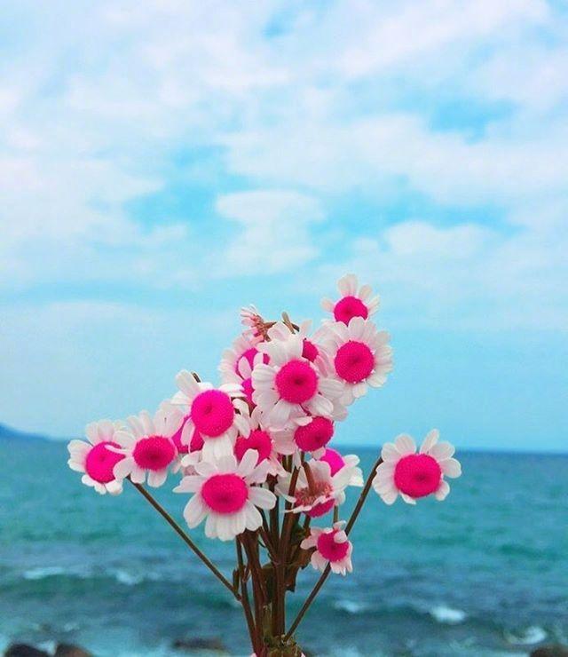 形容努力奋斗的句子唯美 形容努力奋斗的句子唯美