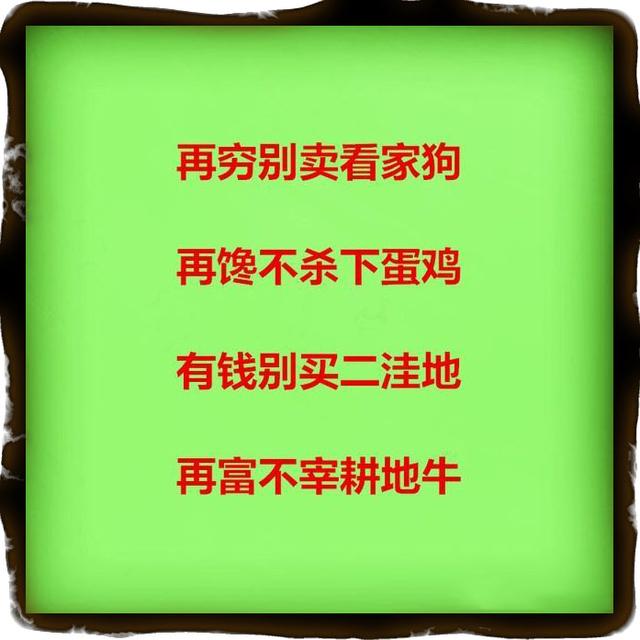 树高万丈莫忘根,人若辉煌莫忘恩,做人要懂得感恩