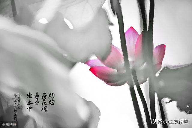 夸儿子孝顺贴心的句子 夸儿子孝顺贴心的句子