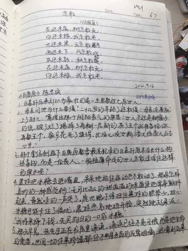 初中好句子摘抄大全100_(优美语句摘抄大全初中)
