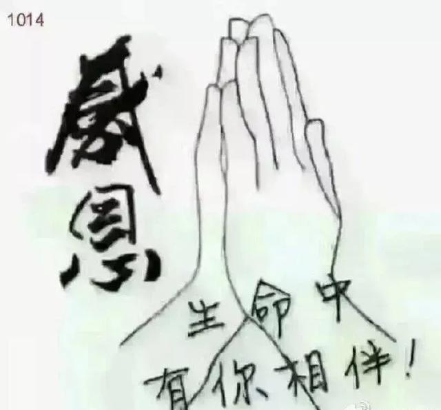 感恩遇见的一段话!