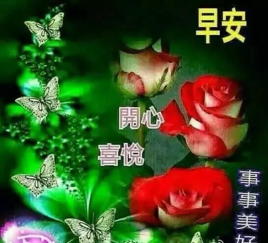 懂得珍惜,才不会错过;知道感恩,才会收获真情,早安