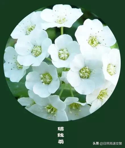 年末,感恩一路陪伴帮助我的人