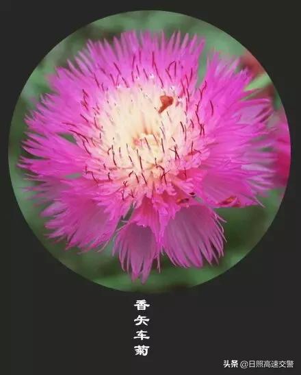 年末,感恩一路陪伴帮助我的人