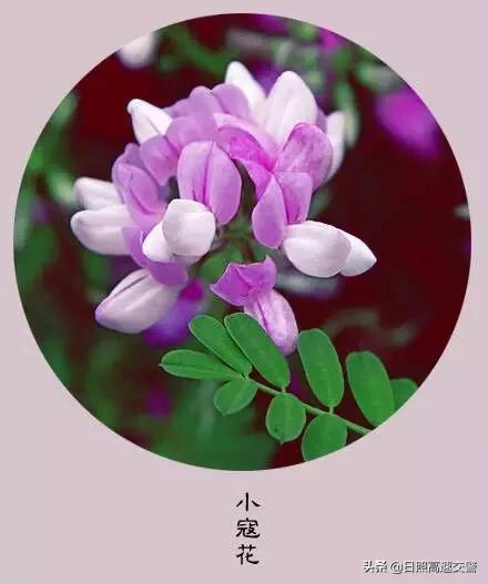 年末,感恩一路陪伴帮助我的人