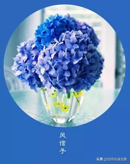 年末,感恩一路陪伴帮助我的人