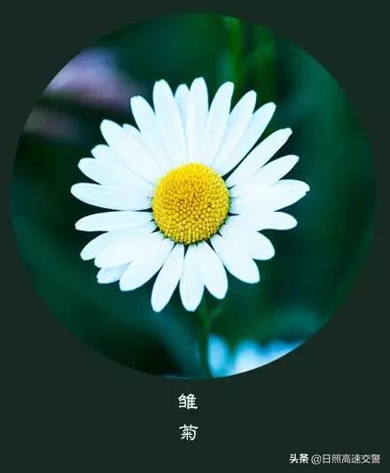 年末,感恩一路陪伴帮助我的人