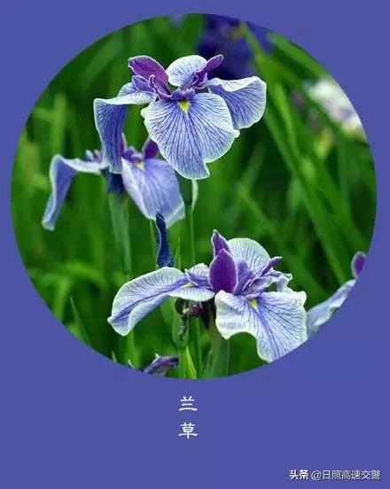 年末,感恩一路陪伴帮助我的人