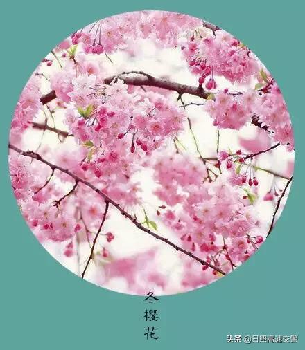 年末,感恩一路陪伴帮助我的人
