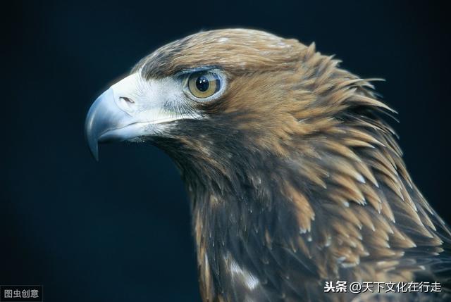 男人努力奋斗的句子 正能量 男人努力奋斗的句子 正能量
