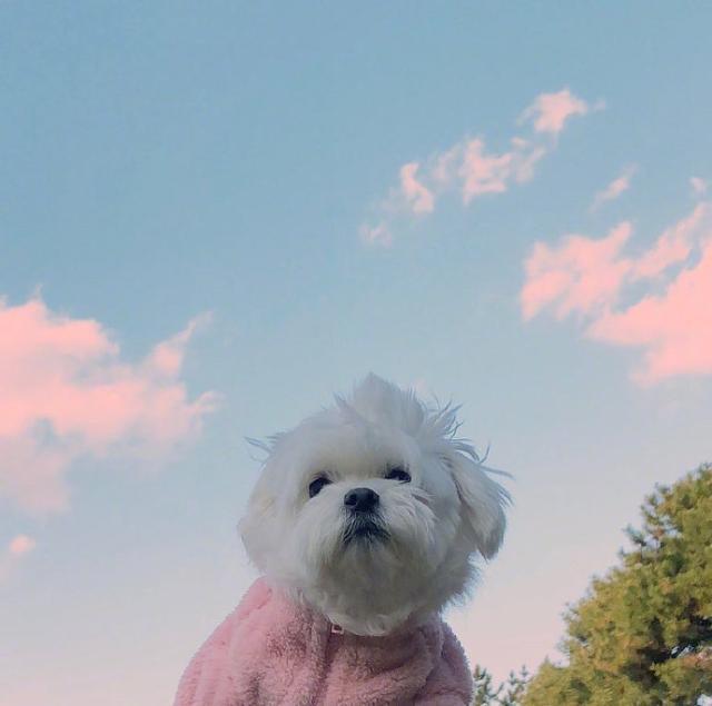 早起奋斗的句子微信朋友圈