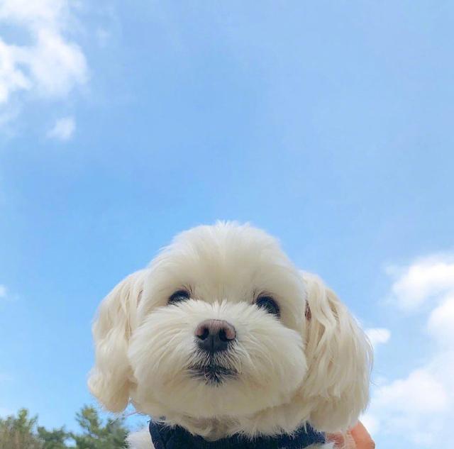 早起奋斗的句子微信朋友圈
