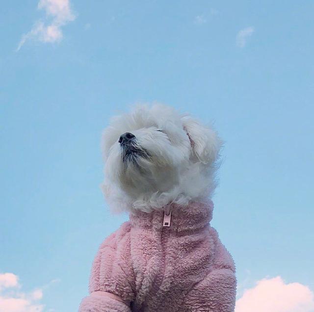 早起奋斗的句子微信朋友圈