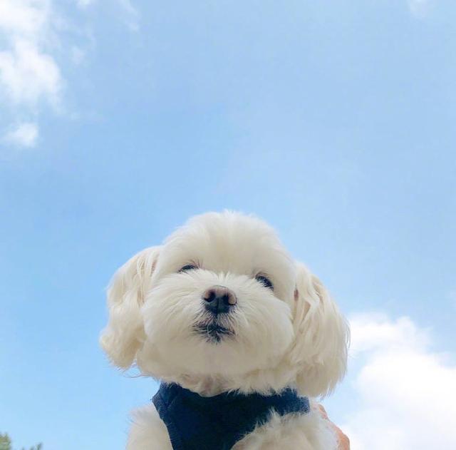 早起奋斗的句子微信朋友圈