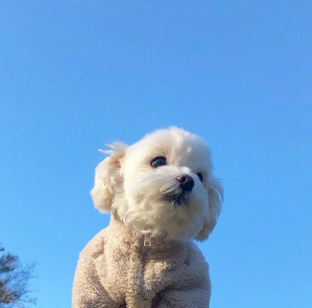 早起奋斗的句子微信朋友圈