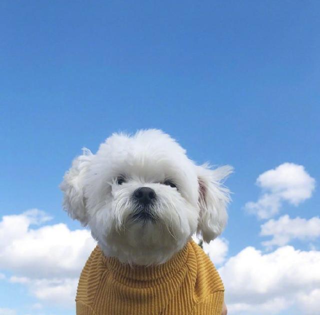 早起奋斗的句子微信朋友圈