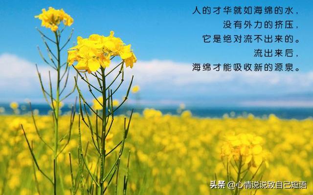 努力奋斗的句子 正能量图片 努力奋斗的句子 正能量图片