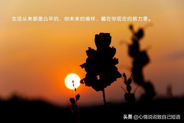 努力奋斗的句子 正能量图片 努力奋斗的句子 正能量图片