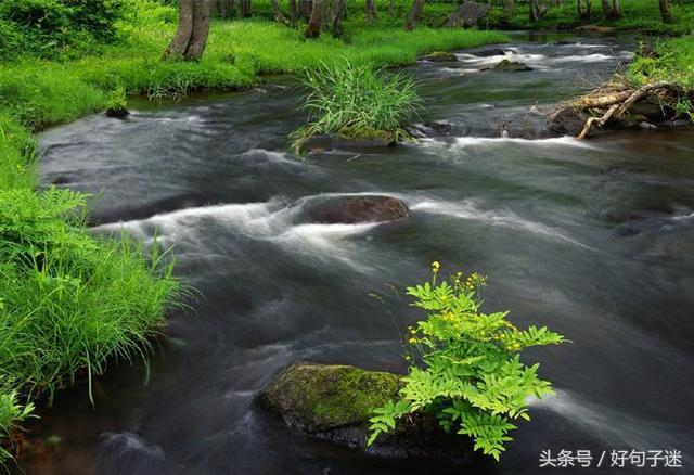 为业绩奋斗的句子励志名言 为业绩奋斗的句子励志名言