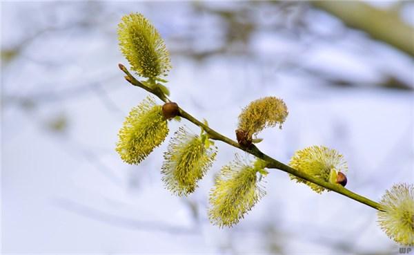 人生经典励志心语:趁着年轻去奋斗,不辜负光芒万丈的青春!