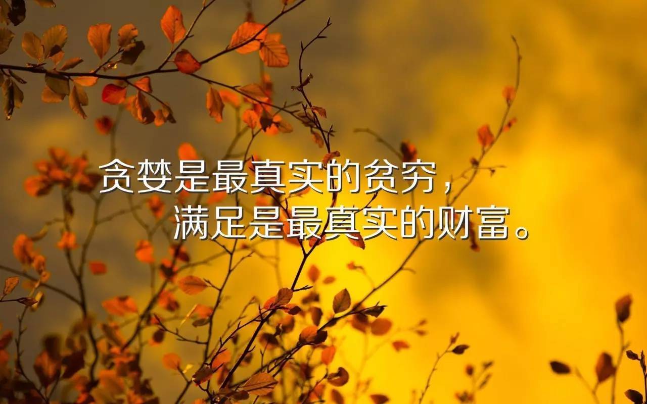 关于奋斗的句子励志30个字_(小学生励志语录30字以内)