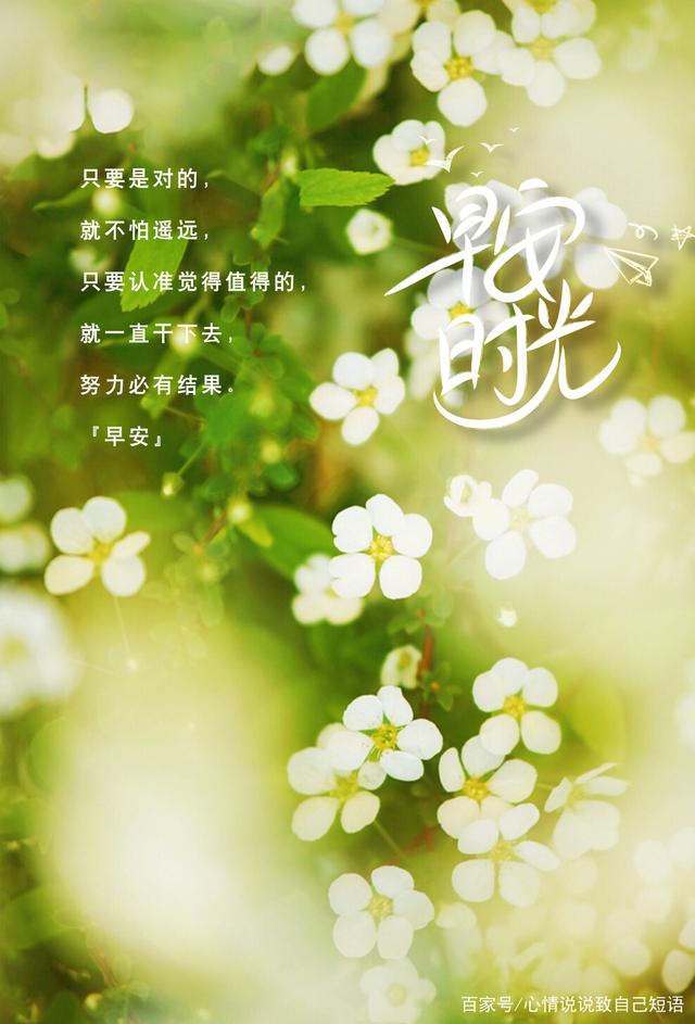 和朋友一起奋斗的句子(努力拼搏励志的句子)
