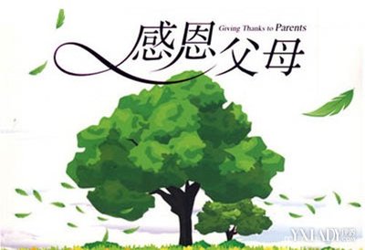 感恩亲情的句子(感恩亲情的诗句或名言)