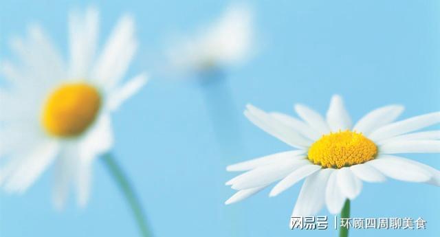 穷人奋斗句子(写给看不起我的人的话)