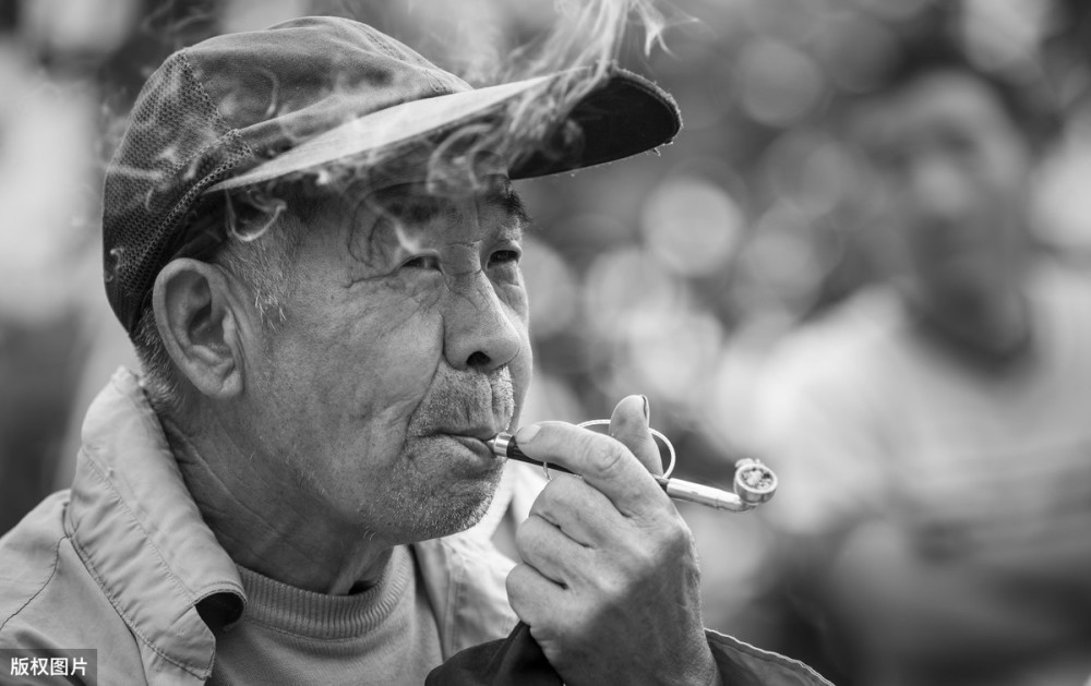 形容孝顺父母要趁早的句子_(孝敬老人要趁早的句子)