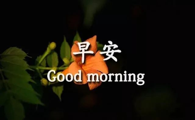 阳光简短的早安暖心句子,万里挑一,你见过几句-句子橘 阳光简短的早安暖心句子,万里挑一,你见过几句-句子橘