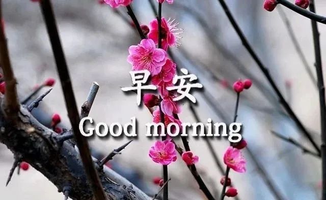 阳光简短的早安暖心句子,万里挑一,你见过几句-句子橘 阳光简短的早安暖心句子,万里挑一,你见过几句-句子橘