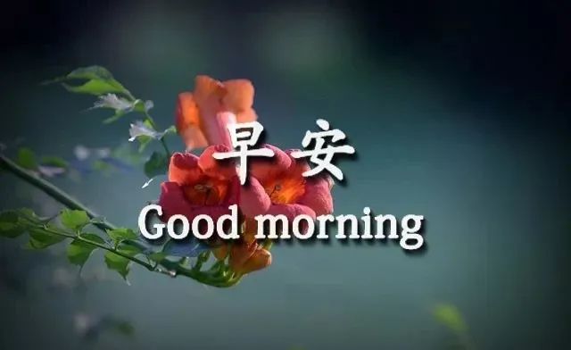阳光简短的早安暖心句子,万里挑一,你见过几句-句子橘 阳光简短的早安暖心句子,万里挑一,你见过几句-句子橘
