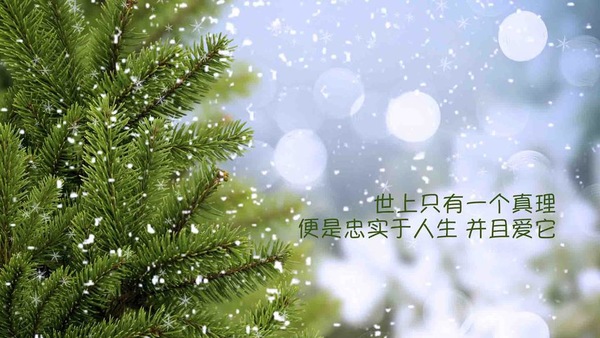 成长的代价句子经典语录短句_(简短精辟的句子 太绝了)