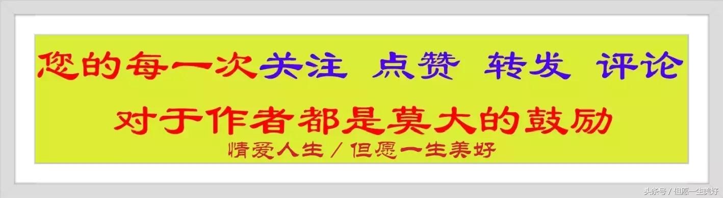 讽刺不孝顺人的句子 讽刺不孝顺人的句子
