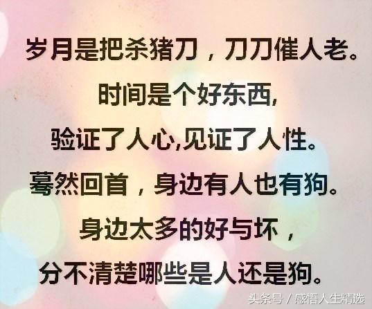 已到中年;为了父母的晚年,还得加油;为了孩子的前程,还得奋斗